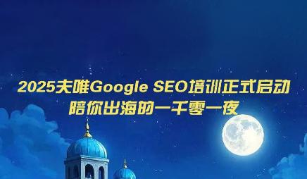 2025搜外夫唯Google独立站SEO系统教程，从零搭建到变现的完整SEO解决方案