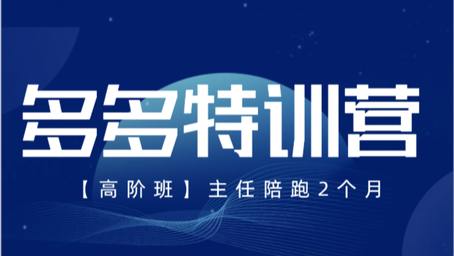 2025发宝电商纪主任多多特训营高阶班