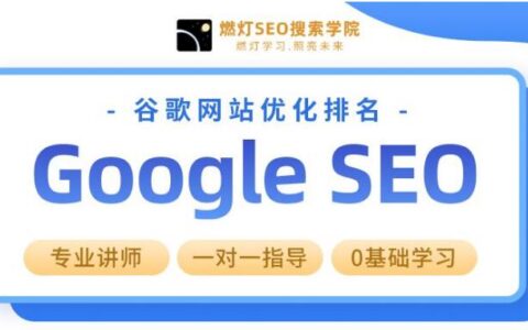 燃灯谷歌网站SEO优化教程从基础入门到精通