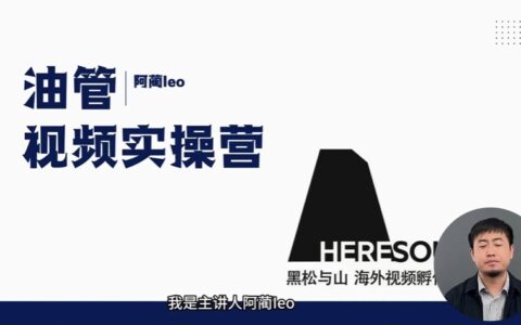2025阿蔺Leo油管（YouTube）实操课价值(1980)
