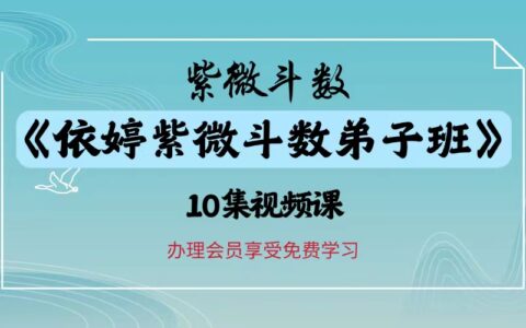 2025依婷紫微斗数-弟子班，十大核心应用案例深度解析