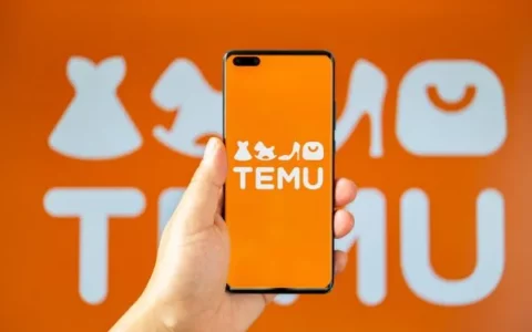 2025阿标跨境：TEMU卖家实战，从0到1高效出单