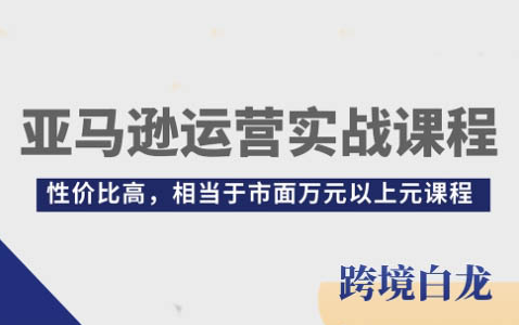 白龙亚马逊跨境实操课，入门到实操精品课（22讲详解）