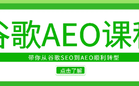 大卫2025谷歌AEO课程，从谷歌SEO到AEO顺利转型