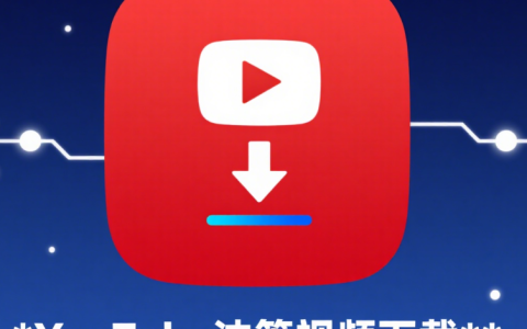 哔哩哔哩B站视频下载_抖音无水印视频下载_YouTube油管视频下载