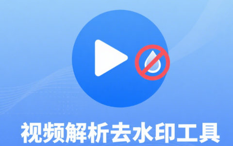 在线视频解析去水印工具永久免费、不限次数，抖音解析无水印下载、快手解析无水印下载、小红书解析无水印下载、微博解析无水印下载、B站解析无水印下载