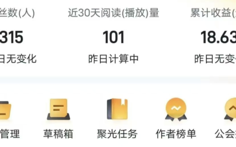 被低估的冷门副业项目，简单搬运内容就有收益，新手小白也能快速上手！