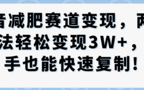 抖音减肥赛道变现，两种玩法轻松变现3W+，新手也能快速复制