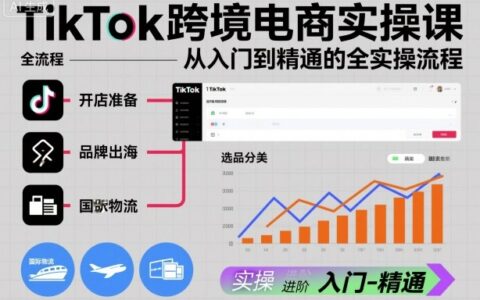 TikTok跨境电商实操课，从入门到精通的全实操流程
