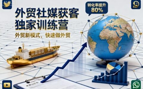 外贸社媒获客独家训练营，外贸新模式，快速做外贸（更新）
