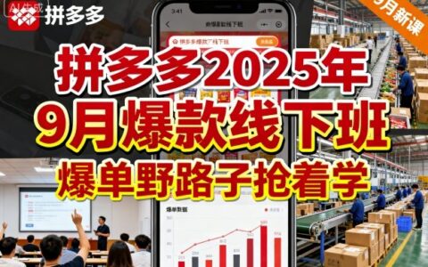 拼多多2025年9月爆款线下班，爆单野路子抢着学