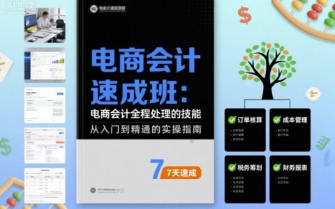 电商会计速成班，电商会计全程处理的技能
