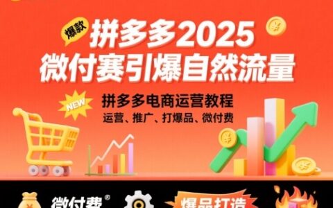 拼多多2025微付费引爆自然流量，拼多多电商运营教程，运营、推广、打爆品、微付费（更新）