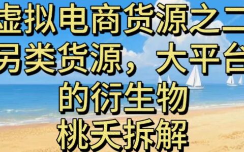 虚拟电商之二—另类的货源，大平台的衍生物
