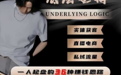 一个人起盘的底层逻辑，私域流量-直播电商-实体获客，一人起盘的36种賺钱思路