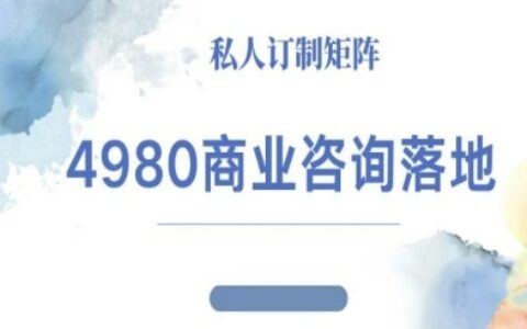 4980商业咨询师落地课程-ip运营高客单教程