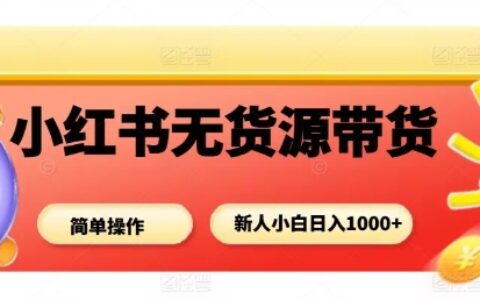 小红书无货源带货项目，简单无脑，新人小白日入多张
