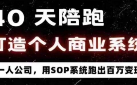 40天陪跑打造个人商业系统，一人公司，用SOP系统跑出百W变现