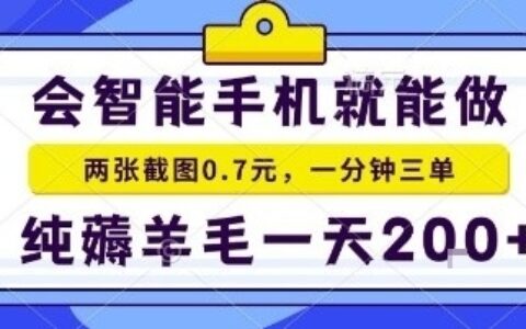 手机项目，二十秒一单，纯薅羊毛一天2张+做就有【揭秘】