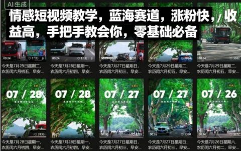情感短视频教学，蓝海赛道，涨粉快，收益高，手把手教会你，零基础必备