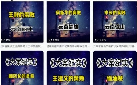 大案纪实短视频制作教学，热门赛道，文案纯AI写，可过伙伴计划