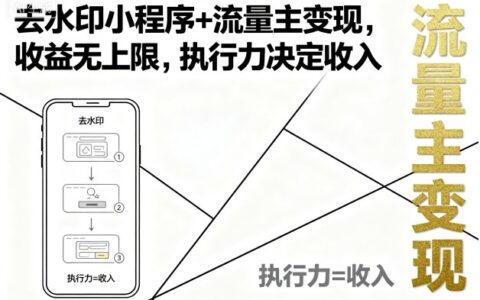 去水印小程序+流量主变现，收益无上限，执行力决定收入