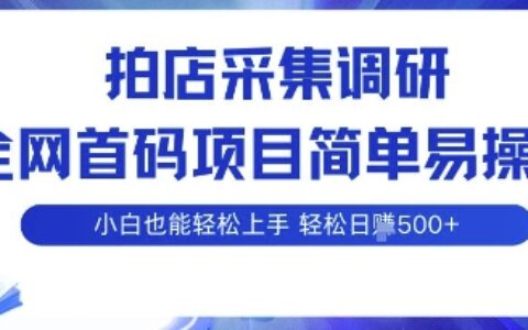 拍店采集调研，全网首码项目，简单易操作， 小白也能轻松上手，多账号操作，轻松日入5张【揭秘】
