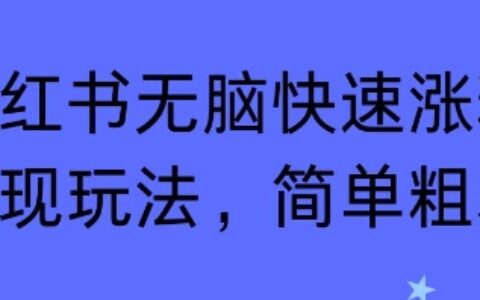 小红书无脑快速涨粉变现玩法，简单粗暴