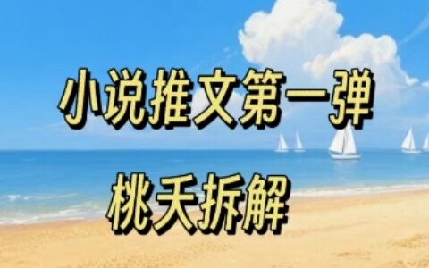 小说推文项目操作全流程第一弹，0粉就能做，门槛低非常适合新手