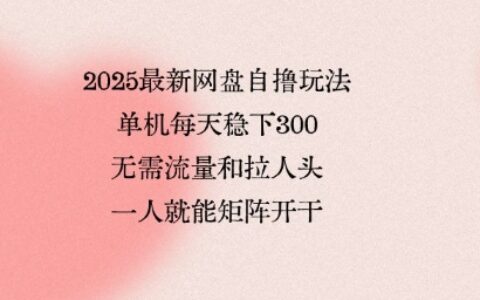 2025最新网盘自撸玩法，单机每天稳下3张，无需流量和拉人头，一个人就可轻松矩阵，全网独一份【揭秘】