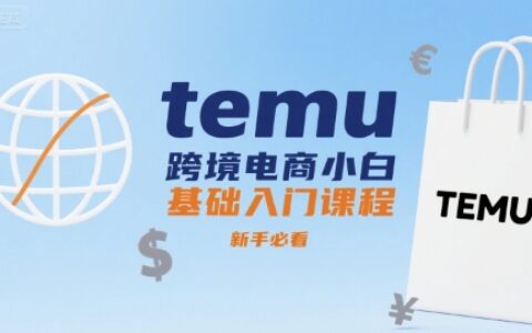 temu跨境电商小白基础入门课程，新手必看
