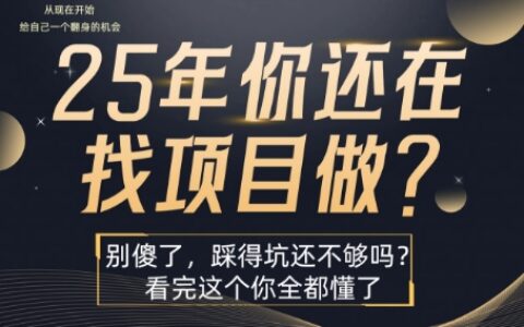 25年，你还在疯狂的找项目吗？别傻了，看完这个你都懂了【揭秘】