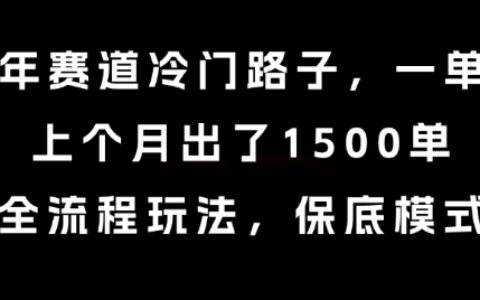 中老年赛道冷门路子，一单788，上个月出了1500单，全流程玩法，保底模式【揭秘】