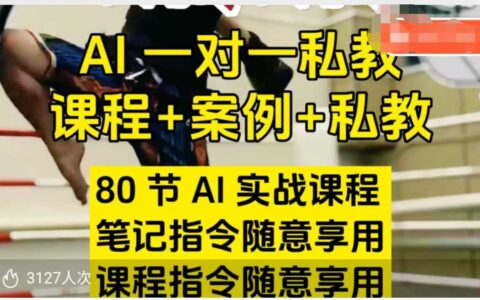 AI指令实战课，课程+案例，80节AI实战课程，笔记指令随意享用，课程指令随意享用（更新7月）