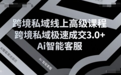 跨境私域线上高级课程，跨境私域极速成交3.0+Ai智能客服