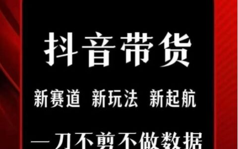 抖音短视频一刀不剪带货，不剪辑，不直播，每天发个视频，等着出单获取带货佣金