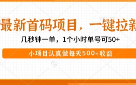 最新首码项目，操作最简单，收益高，一键拉新，1个小时单号可50+，小项目认真做每天5张+收益【揭秘】