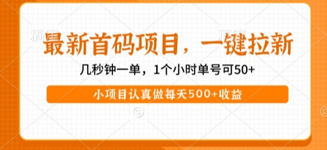 最新首码项目，操作最简单，收益高，一键拉新，1个小时单号可50+，小项目认真做每天5张+收益【揭秘】