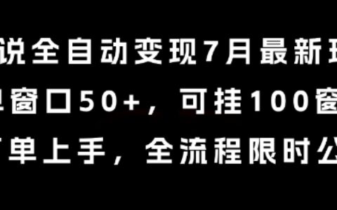 小说全自动变现7月玩法，单窗口50+，可挂100窗口，简单上手，全流程限时公布【揭秘】