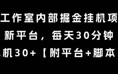 某工作室内部掘金挂G项目，新平台，每天30分钟，单机30+【揭秘】
