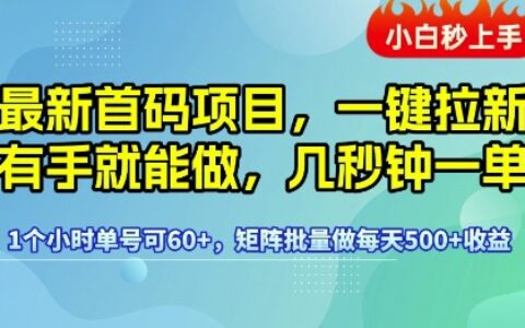 最新首码项目，一键拉新有手就能做，几秒钟一单，1个小时单号可60+，矩阵批量做每天5张【揭秘】