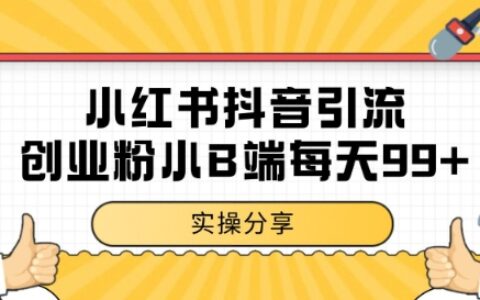 小红书抖音创业粉，小B端粉自热，日引99+的一个玩法【揭秘】