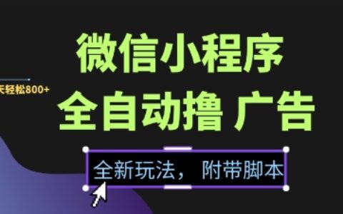 微信小程序全自动撸广告项目，彻底解决没流量的问题，新手一天8张+【揭秘】