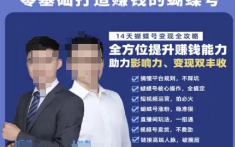 蝴蝶号专栏-视频号运营教程，零基础打造挣钱的蝴蝶号，14天蝴蝶号变现全攻略