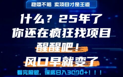 什么？25年你还在疯狂找项目做，醒醒吧，看完这些你全都懂了！【揭秘】