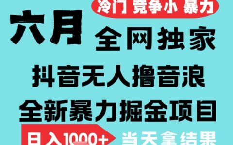 2025年6月高爆抖音无人直播最新撸音浪掘金项目，无脑日入1k+，低门槛小白可做，可矩阵放大【揭秘】