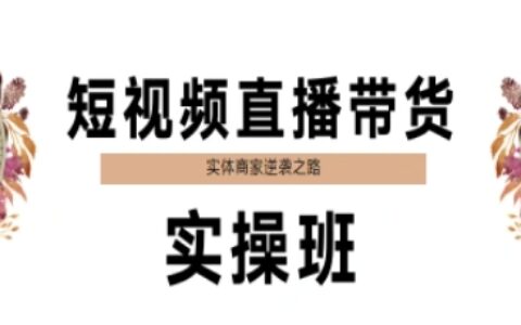 短视频直播带货实操班，实体商家逆袭之路