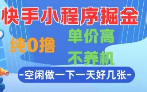 快手小程序掘金，纯0撸，单价高不养机 利用空闲时间做一做，一天好几张【揭秘】