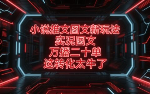 小说推文图文新玩法，实况图文，万播二十单，这转化太牛了！