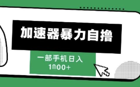 205新风口，加速器暴力自撸，单机日入1k+【揭秘】